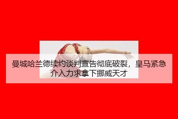 man-cheng-ha-lan-de-xu-yue-tan-pan-xuan-gao-che-di-po-lie-huang-ma-jin-ji-jie-ru-li-qiu-na-xia-nuo-wei-tian-cai-2-408.jpg