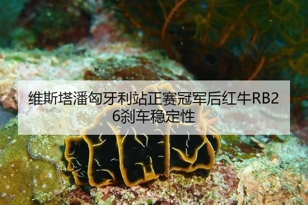 wei-si-ta-pan-xiong-ya-li-zhan-zheng-sai-guan-jun-hou-hong-niu-sha-che-wen-ding-xing-3-625.jpg