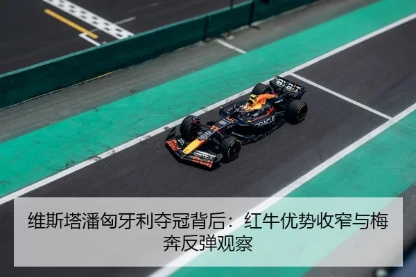 wei-si-ta-pan-xiong-ya-li-duo-guan-bei-hou-hong-niu-you-shi-shou-zhai-yu-mei-ben-fan-tan-guan-cha-3-771.jpg